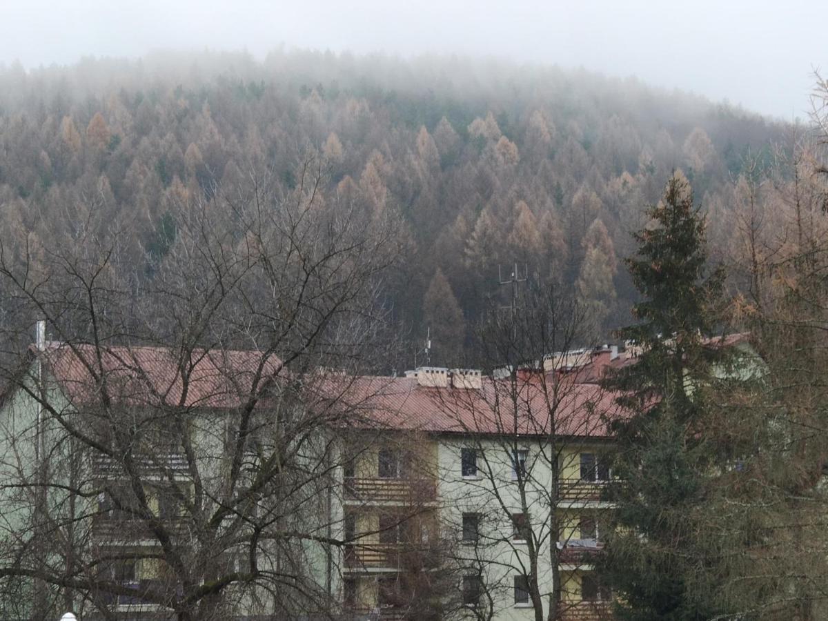 Apartament Wataha Ustrzyki Dolne Bagian luar foto